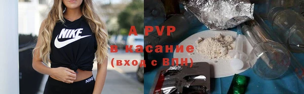 ешки Алексин