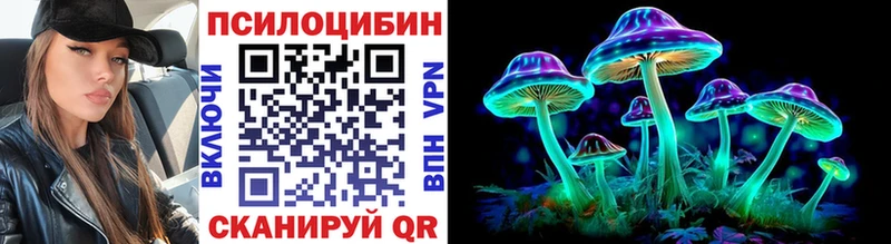 Галлюциногенные грибы Psilocybe  Петровск 
